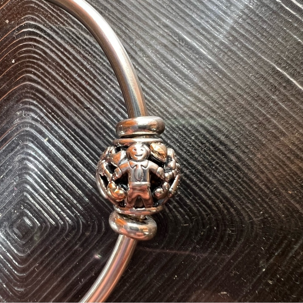 Pandora Moments 14K & Silver Family Forever Charm- RETIRED CHARM
